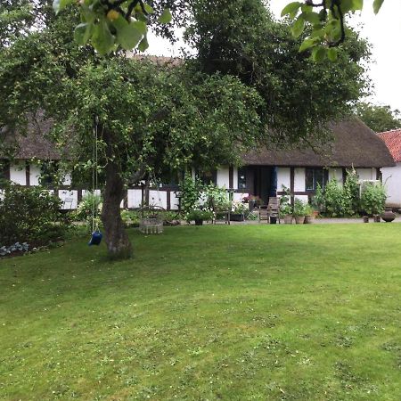 Bed and Breakfast Filippavej 80 Vester-Skerninge Exterior foto