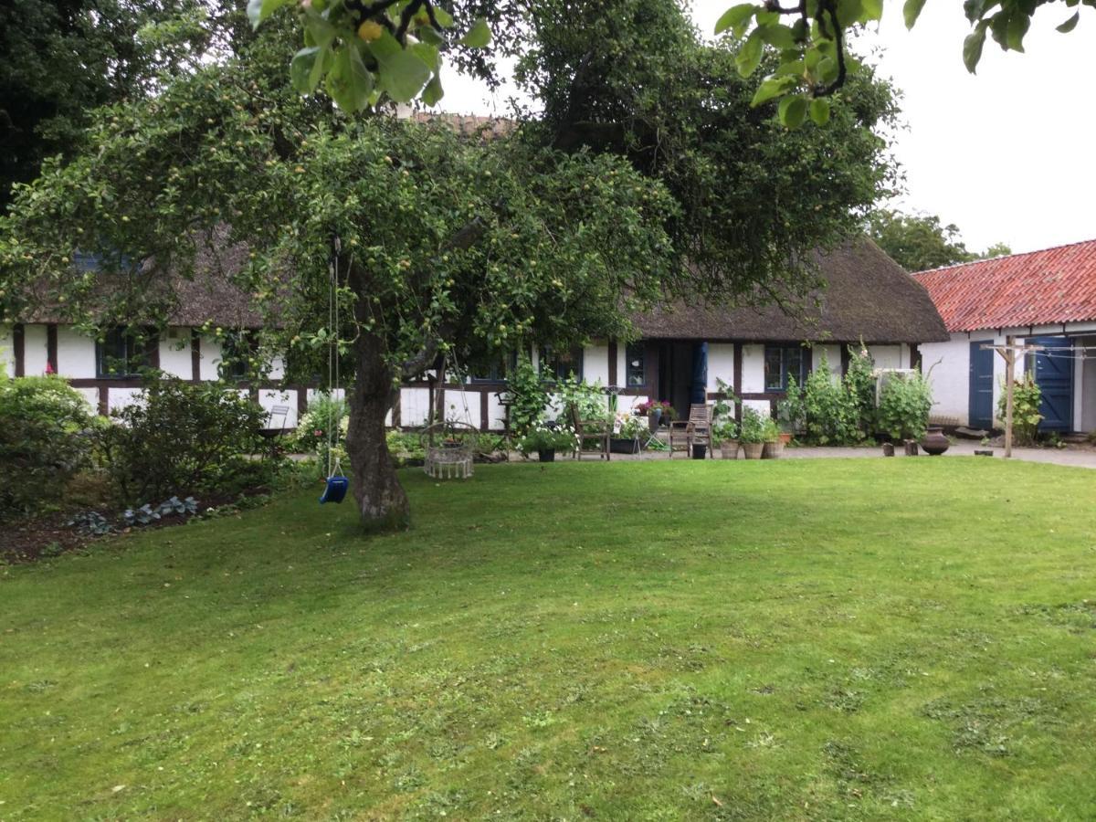Bed and Breakfast Filippavej 80 Vester-Skerninge Exterior foto